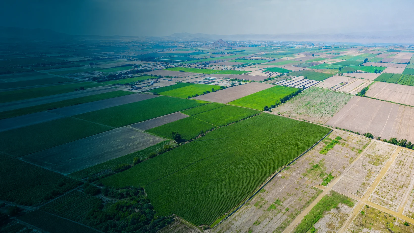 Vista aérea adaptada del entorno agrícola de Los Pacaes III